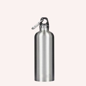 Stainless Steel Bottle